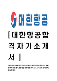 [대한항공-대졸공채최신합격자기소개서]대한항공자기소개서,합격자기소개서,대한항공자소서,합격자소서,자기소개서,자소서,입사지원서