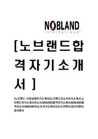 [노브랜드-신입공채자기소개서]노브랜드자소서자기소개서,노브랜드자기소개서자소서,NOBLAND합격자기소개서,NOBLAND합격자소서,NOBLAND자소서,자기소개서자소서,이력서,입사지원서,