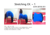 허리 스트레칭