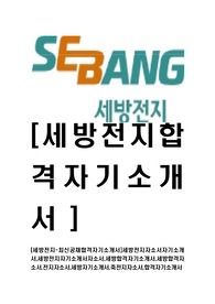 [세방전지-최신공채합격자기소개서]세방전지자소서자기소개서,세방전지자기소개서자소서,세방합격자기소개서,세방합격자소서,전지자소서,세방자기소개서,축전지자소서,합격자기소개서