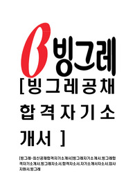 [빙그레-최신공채합격자기소개서]빙그레자기소개서,빙그레합격자기소개서,빙그레자소서,합격자소서,자기소개서자소서,입사지원서,빙그레