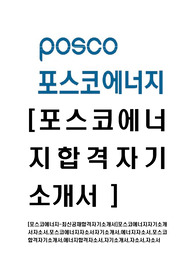[포스코에너지-최신공채합격자기소개서]포스코에너지자기소개서자소서,포스코에너지자소서자기소개서,에너지자소서,포스코합격자기소개서,에너지합격자소서,자기소개서,자소서,자소서