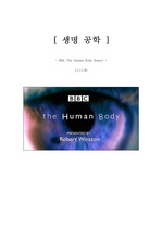 BBC The Human Body (두뇌의 신비) (임신과 출산) (사춘기의 비밀) 레포트