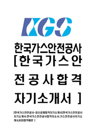 [한국가스안전공사-최신공채합격자기소개서]한국가스안전공사자기소개서,한국가스안전공사합격자소서,가스안전공사자기소개서,KGS합격예문 )