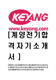 [계양전기-최신공채합격자기소개서]계양전기자기소개서자소서,계양전기자소서자기소개서,계양자소서,전기합격자기소개서,KEYANG합격자소서,자기소개서,자소서,합격자기소개서