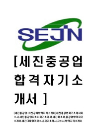 [세진중공업-최신공채합격자기소개서]세진중공업자기소개서자소서,세진중공업자소서자기소개서,세진자소서,중공업합격자기소개서,세진그룹합격자소서,자기소개서,자소서,합격자기소개서