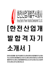 [한전산업개발-정규직공채자기소개서]한전산업개발자기소개서자소서,한전산업개발자소서자기소개서,한전산업자소서,한전개발합격자기소개서,산업개발합격자소서,자기소개서,자소서,합격자