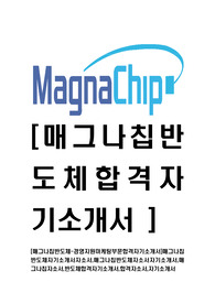 [매그나칩반도체-경영지원마케팅부문합격자기소개서]매그나칩반도체자기소개서자소서,매그나칩반도체자소서자기소개서,매그나칩자소서,반도체합격자기소개서,합격자소서,자기소개서