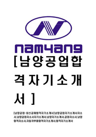 [남양공업-최신공채합격자기소개서]남양공업자기소개서자소서,남양공업자소서자기소개서,남양자기소개서,공업자소서,남양합격자소서,자동차부품합격자기소개서,합격자기소개서
