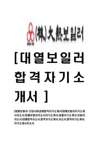 [대열보일러-신입사원공채합격자기소개서]대열보일러자기소개서자소서,대열보일러자소서자기소개서,대열자기소개서,보일러자소서,대열합격자소서,합격자기소개서,자소서,합격자기소개서,자기소개서자소서