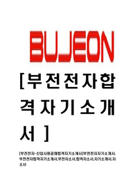 [부전전자-신입사원공채합격자기소개서]부전전자자기소개서,부전전자합격자기소개서,부전자소서,합격자소서,자기소개서,자소서