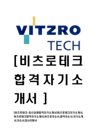 [비츠로테크-최신공채합격자기소개서]비츠로테크자기소개서,비츠로테크합격자기소개서,비츠로자소서,합격자소서,자기소개서,자소서,입사지원서