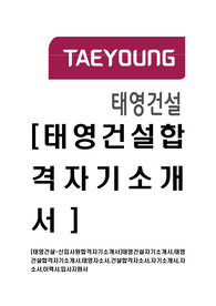 [태영건설-신입사원합격자기소개서]태영건설자기소개서,태영건설합격자기소개서,태영자소서,건설합격자소서,자기소개서,자소서,이력서,입사지원서