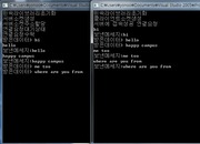 pthread를 이용한 리눅스 윈도우상에 C언어 콘솔을 이용한 1:1채팅프로그램