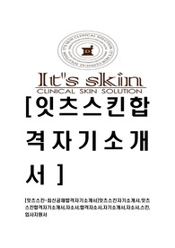[잇츠스킨-최신공채합격자기소개서]잇츠스킨자기소개서,잇츠스킨합격자기소개서,자소서,합격자소서,자기소개서,자소서,스킨,입사지원서