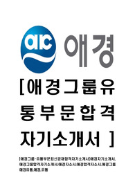 [애경그룹-유통부문인턴사원합격자기소개서]애경자기소개서,애경그룹합격자기소개서,애경자소서,애경합격자소서,애경그룹자기소개서,자소서,이력서,입사지원서