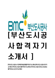 [부산도시공사-토목분야공채합격자기소개서]부산도시공사자기소개서,부산도시공사합격자기소개서,부산도시공사자소서,bmc합격자소서,자기소개서