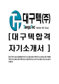 [대구텍-최신공채합격자기소개서]대구텍자기소개서,대구텍합격자기소개서,대구택자소서,합격자소서,자기소개서,자소서,입사지원서