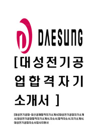 [대성전기공업-최신공채합격자기소개서]대성전기공업자기소개서,대성전기공업합격자기소개서,자소서,합격자소서,자기소개서,대성전기공업자소서입사지원서