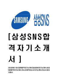 [삼성SNS-최신공채합격자기소개서]삼성SNS자기소개서,삼성SNS합격자기소개서,자소서,합격자소서,자기소개서,자소서,입사지원서