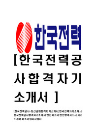 [한국전력공사-최신공채합격자기소개서]한국전력자기소개서,한국전력공사합격자기소개서,한전자소서,한전합격자소서,자기소개서,자소서,입사지원서