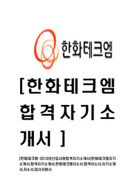 [한화테크엠-최신공채합격자기소개서]한화테크엠자기소개서,합격자기소개서,한화테크엠자소서,합격자소서,자기소개서,자소서,입사지원서