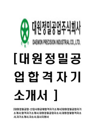[대원정밀공업-신입사원공채합격자기소개서]대원정밀공업자기소개서,합격자기소개서,대원정밀공업자소서,대원정밀합격자소서,자기소개서,자소서,입사지원서