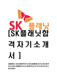 [SK플래닛-최신공채합격자기소개서]SK플래닛자기소개서,합격자기소개서,SK플래닛자소서,SK합격자소서,자기소개서,자소서,입사지원서
