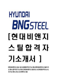 [현대비앤지스틸-최신공채합격자기소개서]현대비앤지스틸자기소개서,합격자기소개서,현대비앤지스틸자소서,현대합격자소서,자기소개서,자소서,비엔지스틸