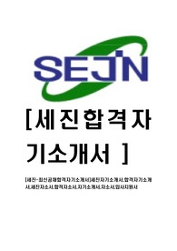 [세진-최신공채합격자기소개서]세진자기소개서,합격자기소개서,세진자소서,합격자소서,자기소개서,자소서,입사지원서