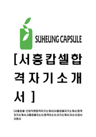 [서흥캅셀-신입직원합격자기소개서]서흥캅셀자기소개서,합격자기소개서,서흥캅셀자소서,합격자소서,입사지원서