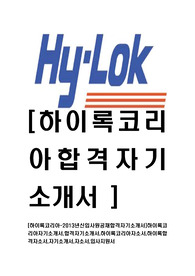 [하이록코리아-2015년최신공채합격자기소개서]하이록코리아자기소개서,합격자기소개서,하이록코리아자소서,하이록합격자소서,자기소개서,자소서,입사지원서