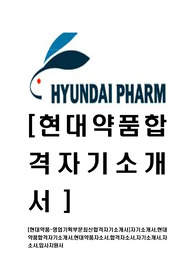 [현대약품-병원영업최신합격자기소개서]자기소개서,현대약품합격자기소개서,현대약품자소서,합격자소서,자기소개서,자소서,입사지원서