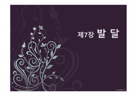 제7장 발 달