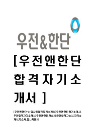 [우전앤한단-신입사원합격자기소개서]우전앤한단자기소개서,우전합격자기소개서,우전앤한단자소서,한단합격자소서,자기소개서,자소서,입사지원서