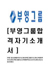 [부영그룹-최신공채합격자기소개서]부영그룹자기소개서,부영합격자기소개서,부영그룹자소서,부영합격자소서,자기소개서,자소서,입사지원서