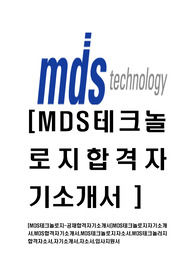 [MDS테크놀로지-최신공채합격자기소개서]MDS테크놀로지자기소개서,MDS합격자기소개서,MDS테크놀로지자소서,MDS테크놀러지합격자소서,자기소개서,자소서,입사지원서