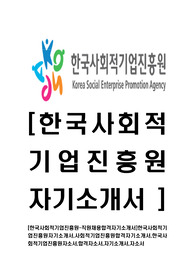 [한국사회적기업진흥원-직원채용합격자기소개서]한국사회적기업진흥원자기소개서,사회적기업진흥원합격자기소개서,한국사회적기업진흥원자소서,합격자소서,자기소개서,자소서