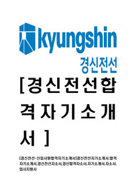 [경신전선-신입사원합격자기소개서]경신전선자기소개서,합격자기소개서,경신전선자소서,경신합격자소서,자기소개서,자소서,입사지원서