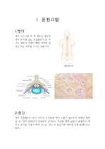 cervical disc disorder 문헌고찰