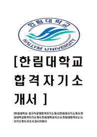 [한림대학교-정규직공채합격자기소개서]한림대자기소개서,한림대학교합격자기소개서,한림대학교자소서,한림대합격자소서,자기소개서,자소서,입사지원서