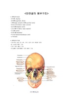안면골의 해부구조, 상하지와 손발의 해부구조, 피부조직의 구조 및 생리
