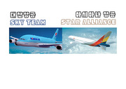 대한항공아시아나,항공사 전략적 제휴,항공마케팅,브랜드마케팅,서비스마케팅,글로벌경영,사례분석,swot,stp,4p