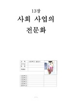 [레포트] 사회사업의 전문화