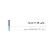 Anatomy of lung
