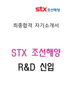 [최종합격 자기소개서]STX조선해양 R&D