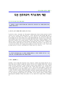 [두산인프라코어자기소개서]두산인프라코어자소서,두산인프라코어합격자기소개서 -두산그룹대졸공채합격자기소개서(두산합격자소서) -두산인프라코어입사지원서