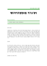 [메트라이프생명보험자기소개서]메트라이프생명보험자소서,메트라이프생명보험합격자기소개서,Met Life 생명보험합격자기소개서(메트라이프합격자소서)