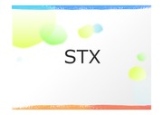 STX그룹의 M&A,stxCEO의 리더쉽,M&A 사례,브랜드마케팅,서비스마케팅,글로벌경영,사례분석,swot,stp,4p