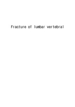 요추척추골절 Fracture of lumbar vertebral